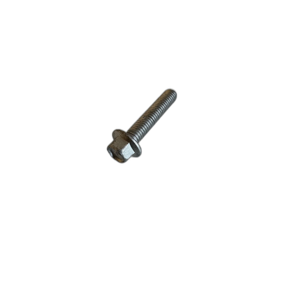 Screw Flanged Head FS106307L